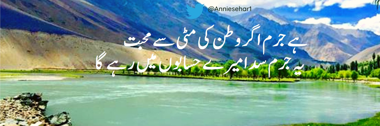 Annie Sehar's banner