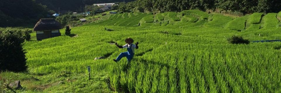 tanada_man's banner