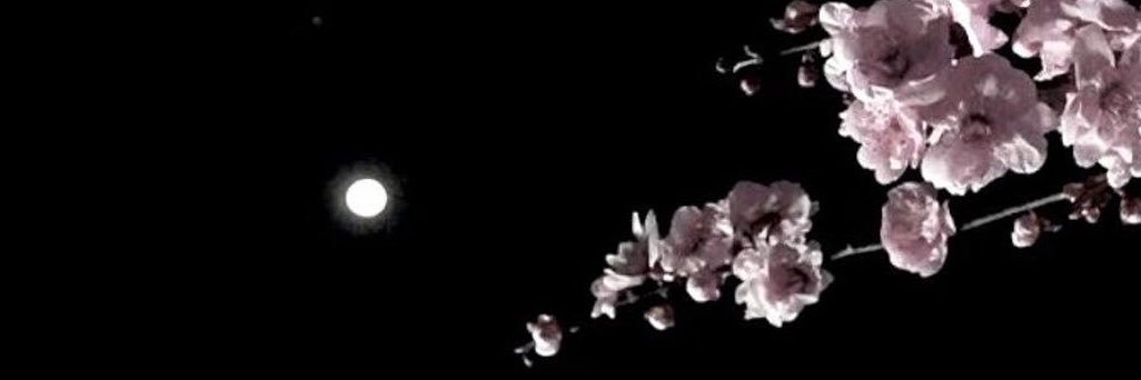 𝔄𝔫𝔤𝔢𝔩🌸🕷️'s banner