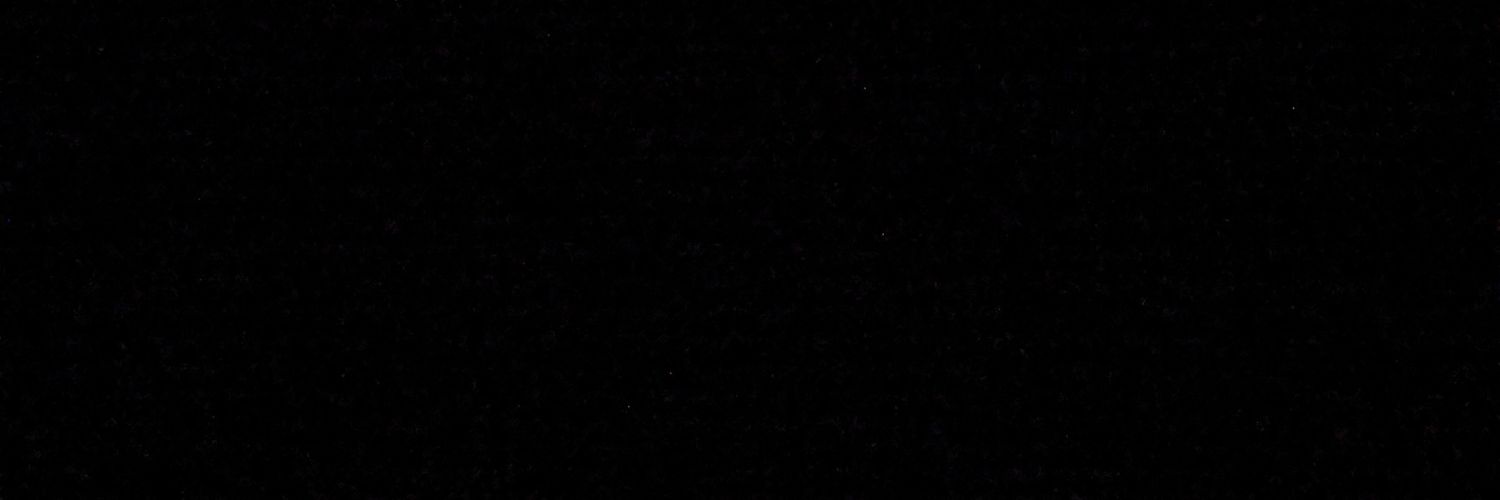 fallen's banner