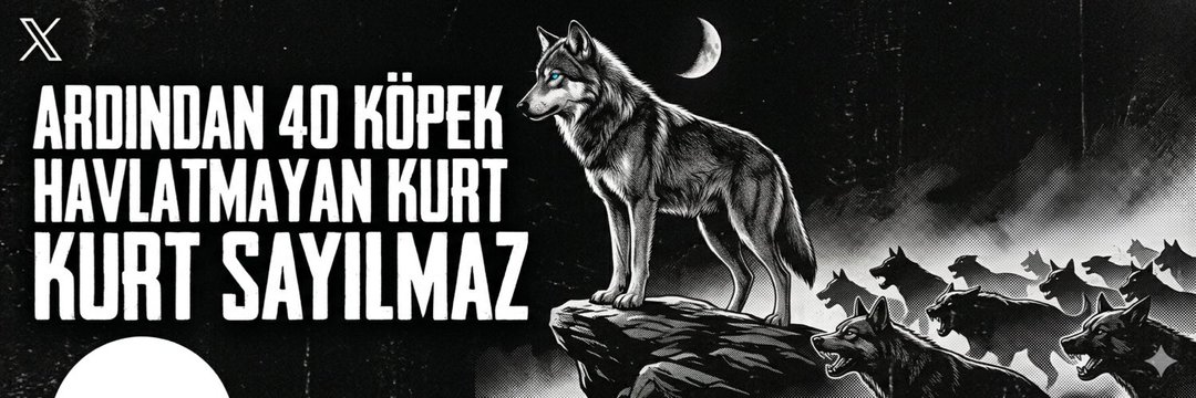 Songül ŞAHİN's banner