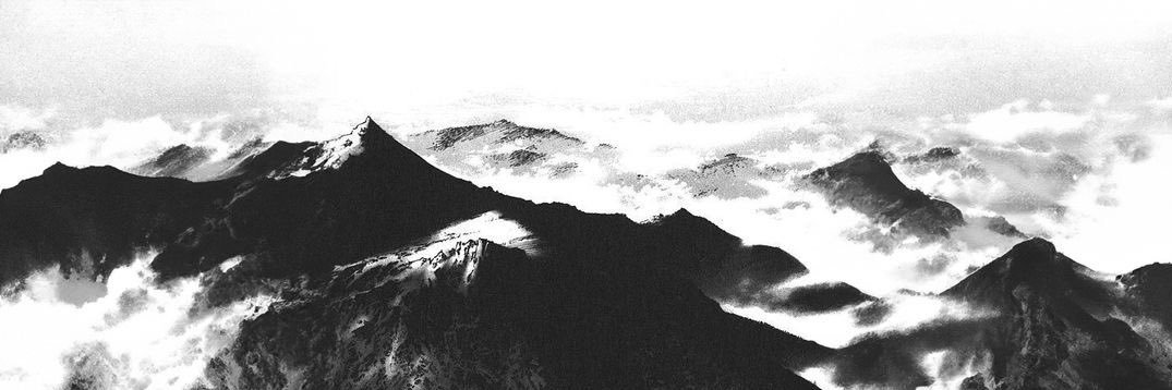 vidit._od's banner