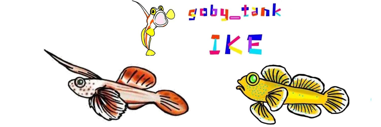 いけさんのトビハゼ's banner