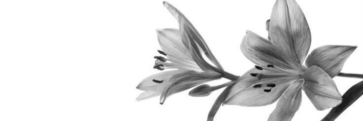 justyna ★'s banner