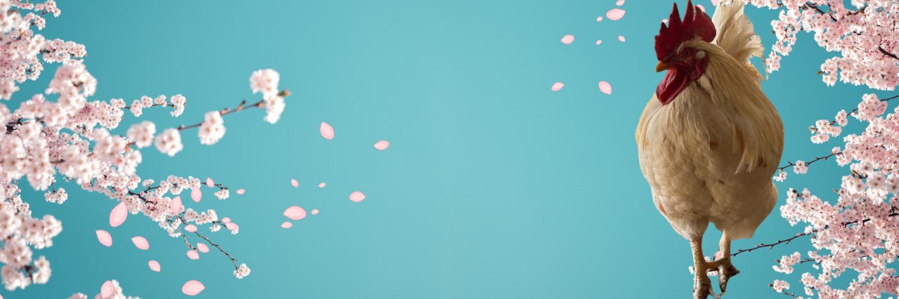 きんちゅん@'s banner
