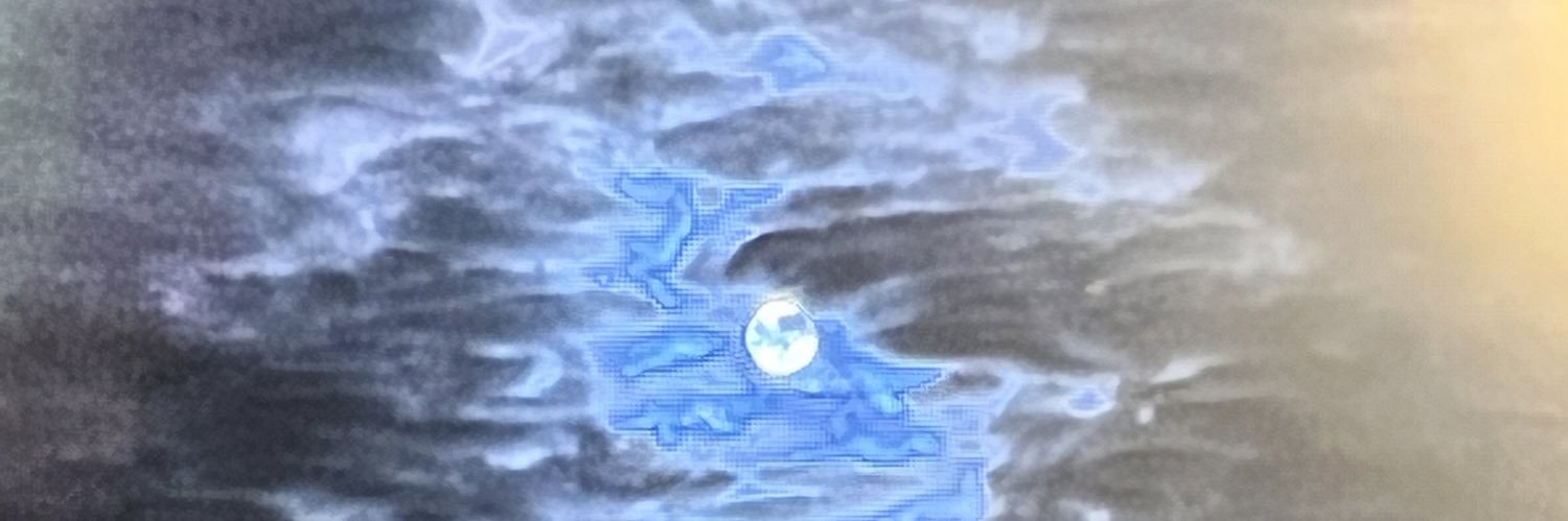 Petite Human's banner