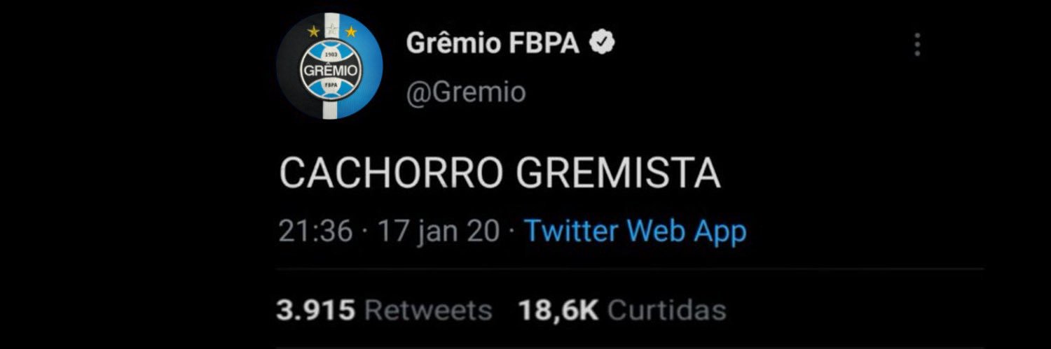 Cachorro Gremista🇪🇪 𓃥's banner