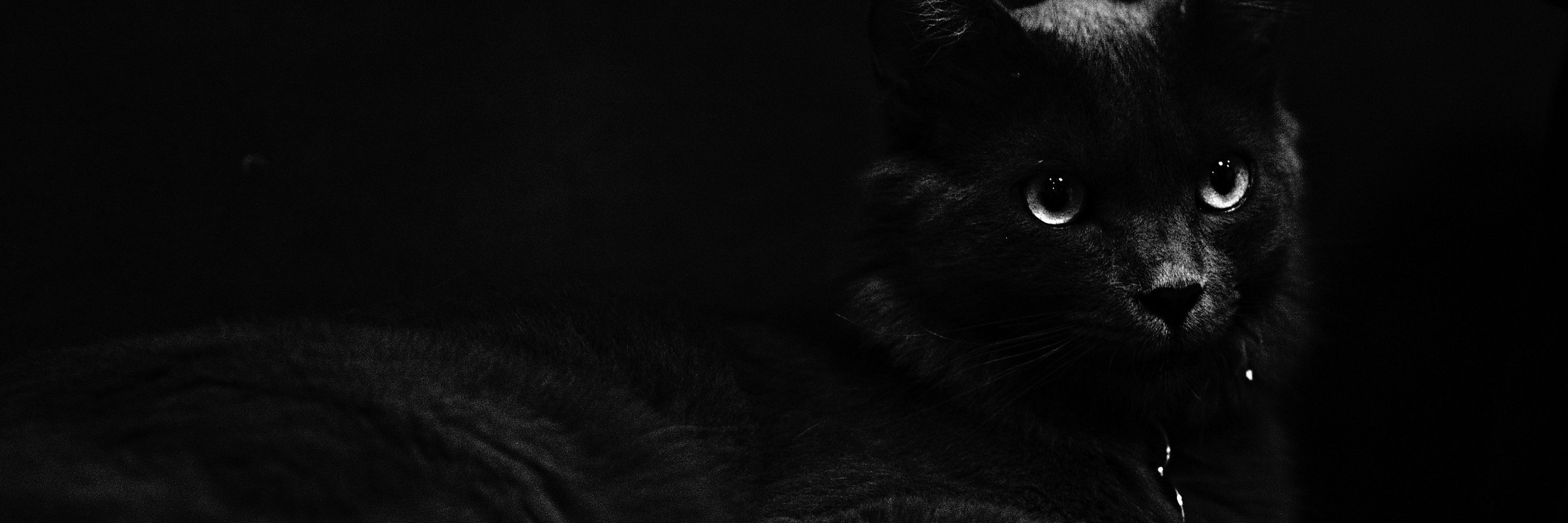 NestJS's banner