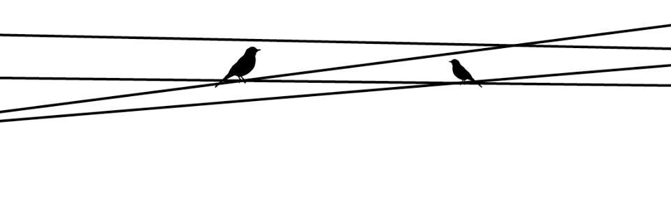 محسن /мσнsε:η/'s banner