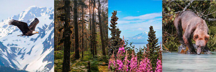 🏔️🌸🪻Rachel Nutter 🪻🌸🏔️'s banner