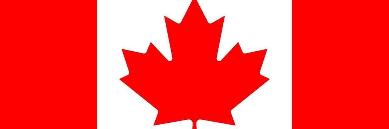 Yasir Naqvi 🇨🇦's banner