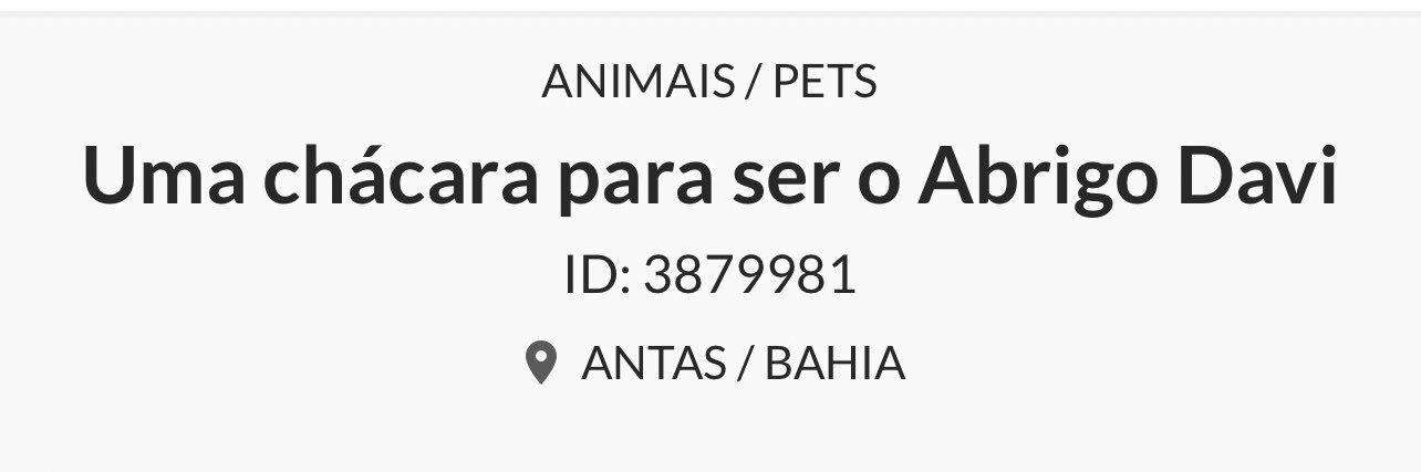 Gatinhos da Di 🐈 Abrigo Davi's banner