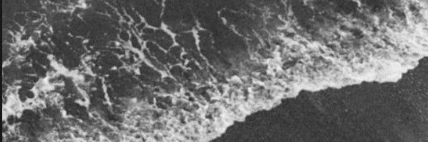 صمت،البحر🦋's banner
