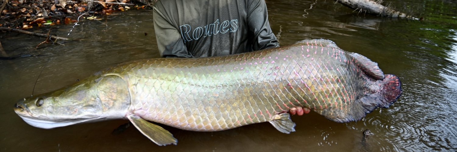 世界の果てまで魚釣り's banner