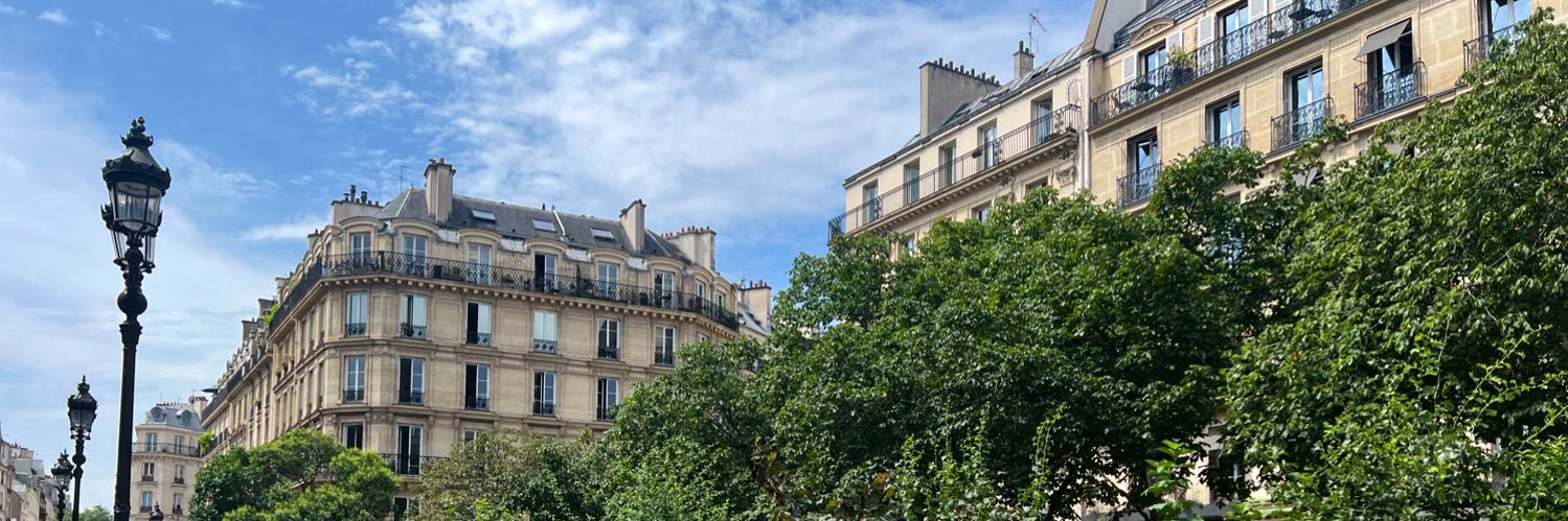 🇫🇷 Sofia Alansari's banner