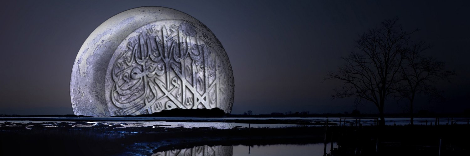 عقيد حسام حموده's banner
