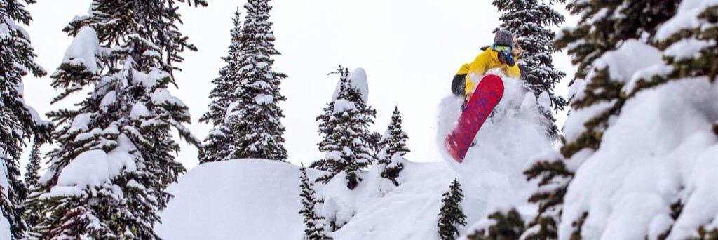 hannah teter's banner