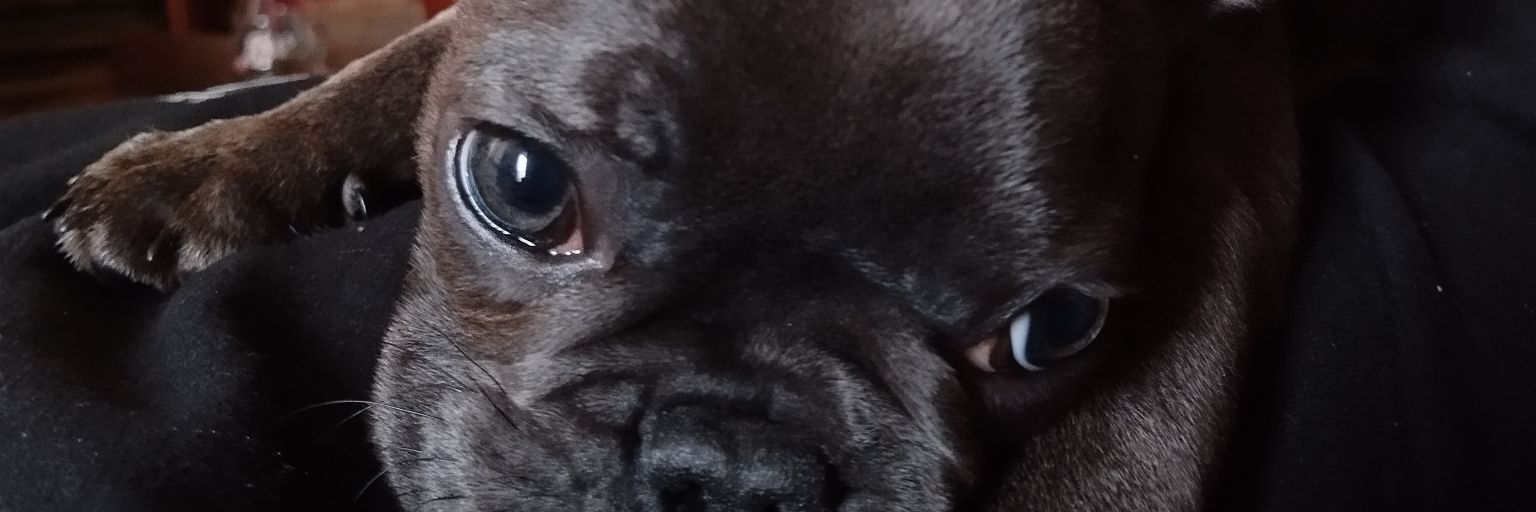 Διατελώ Εν Ευθυμία 💕's banner