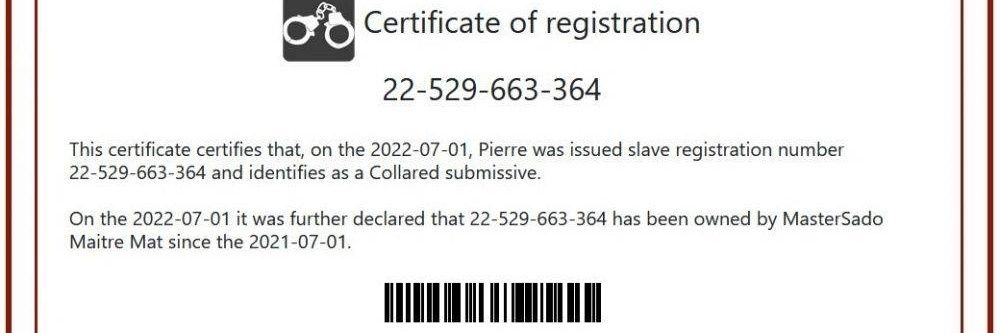 SLAVE 22-529-663-364's banner