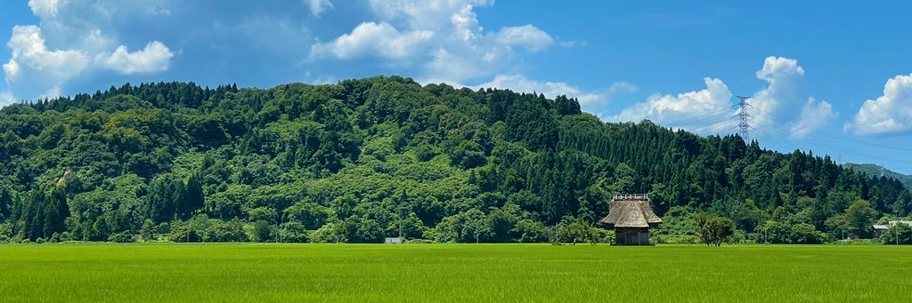 嵯峨山🐾's banner
