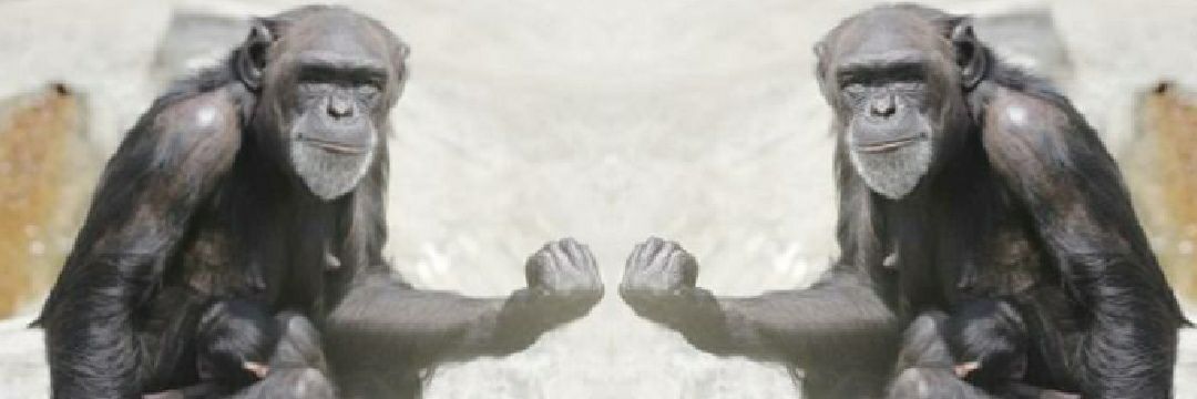 サム's banner