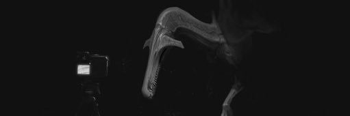 Solitary Wendigo🦖🦎's banner