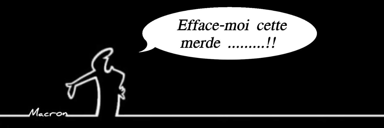 ⏚ 🐢 🏳️ ǝpuoɹɔıɯ-micronde 🏳️ 🐢 ⏚'s banner