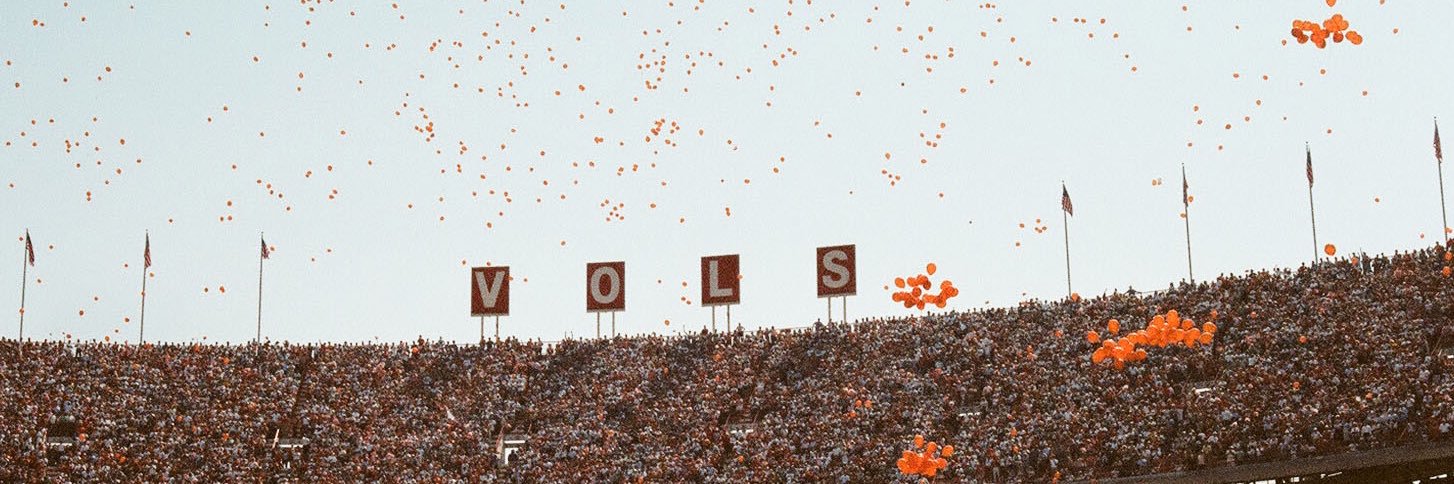 No-L ✨'s banner