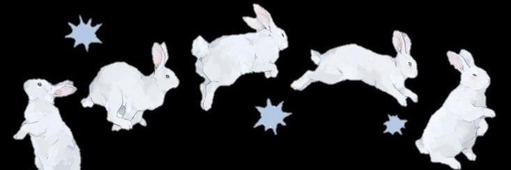 maria ˚୨୧⋆'s banner