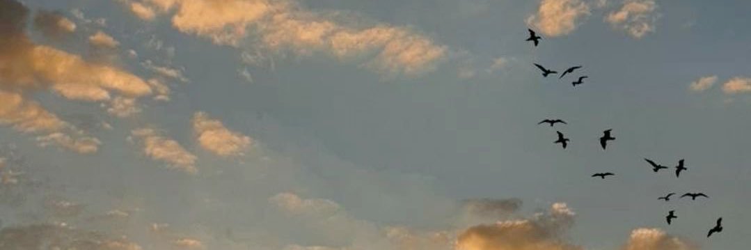 Nora Althumiri, PhD I د.نورا الثميري's banner