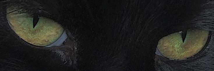 ⵏⴻⴳⴰⵏ | Negan's banner