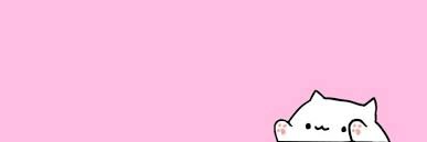 라야샤 ރ's banner