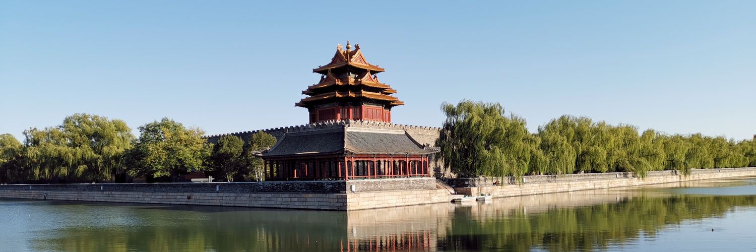 China Perspective's banner