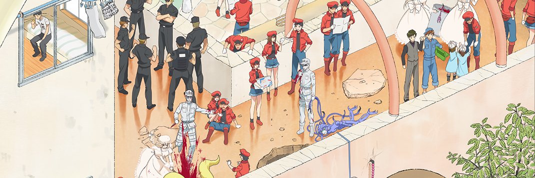 『はたらく細胞』公式's banner