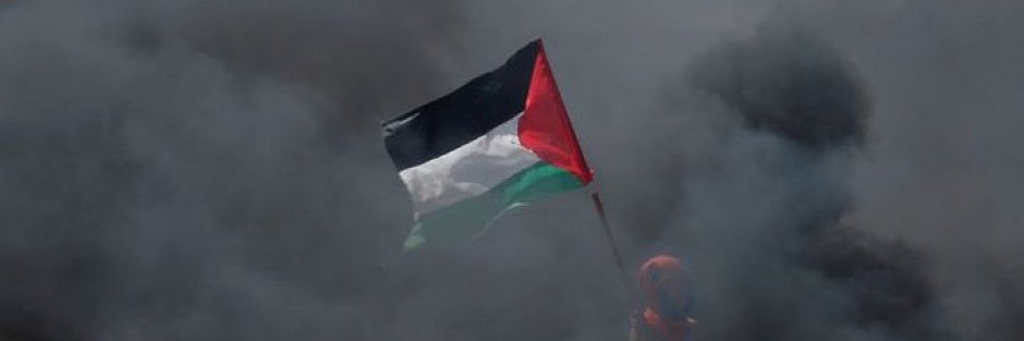 Ibrahim Shaneez's banner