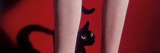 Lady In Stockings's banner