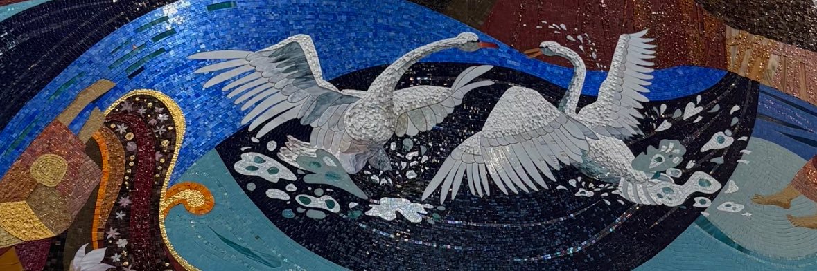 saevid's banner