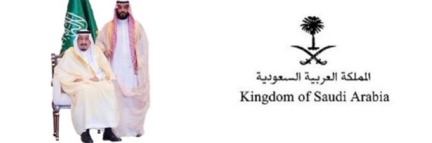 الصــقــــر's banner