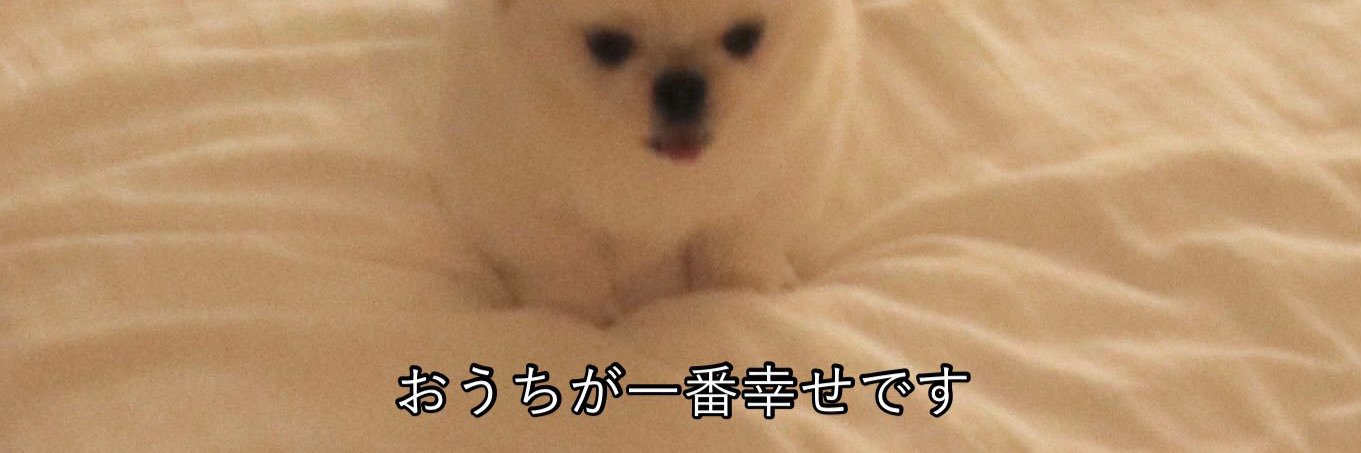 主人公（金丸紗希）'s banner