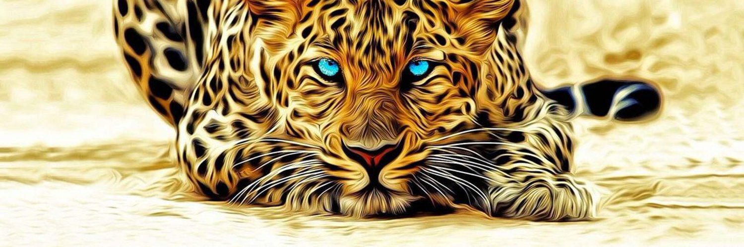 ثراء 🐆's banner