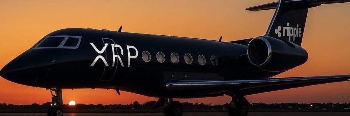 CRYPTO CHAD OFFICE's banner