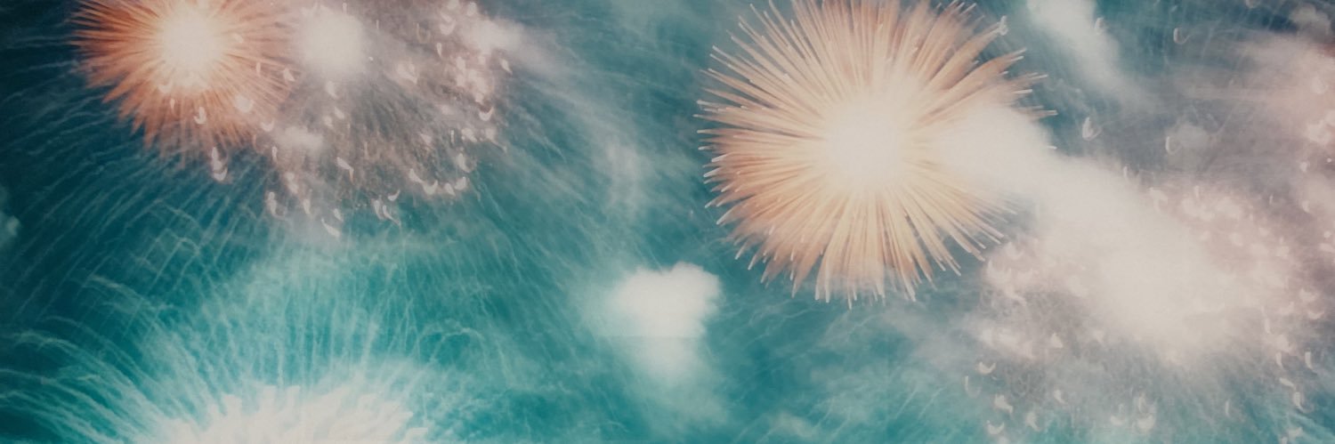 eu's banner