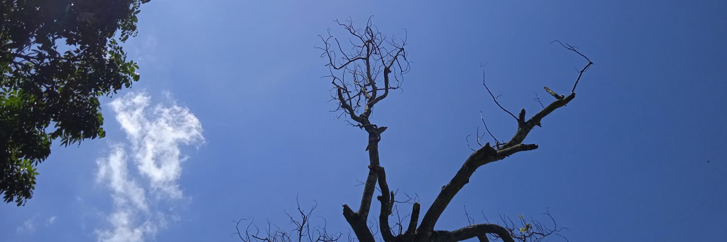 ahooylikromi's banner