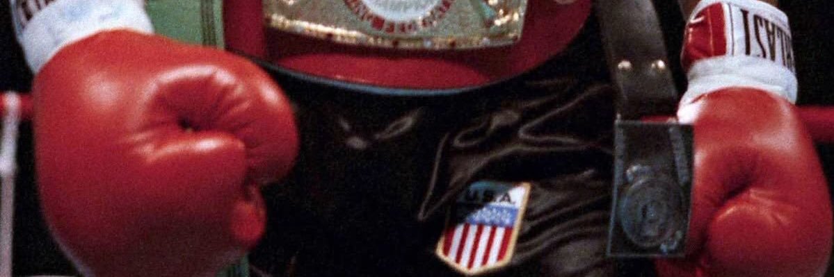 Ringfight 🥊's banner