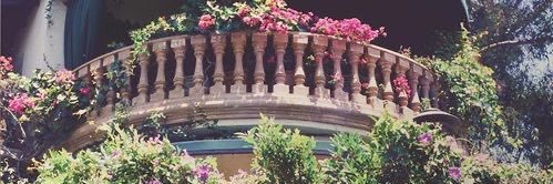 Tropico 🇵🇸🇲🇦's banner