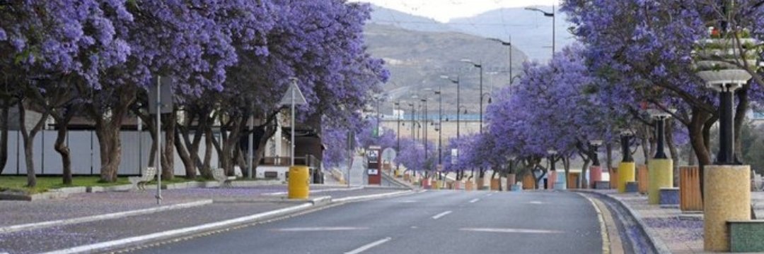 تركي العلاوه's banner