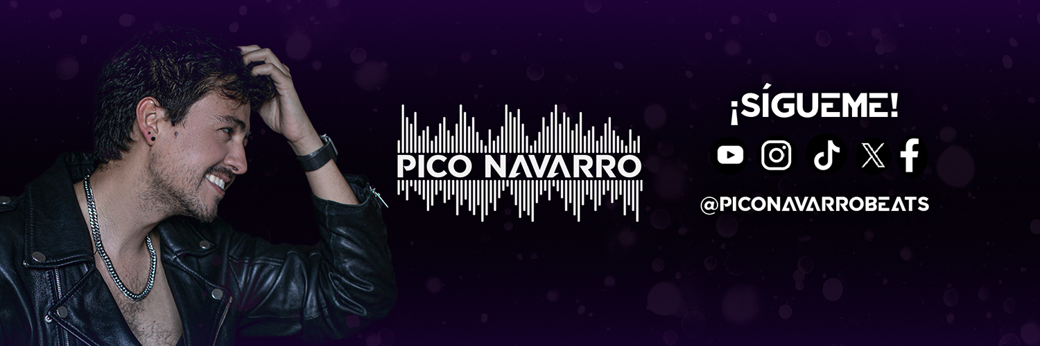 Pico Navarro's banner