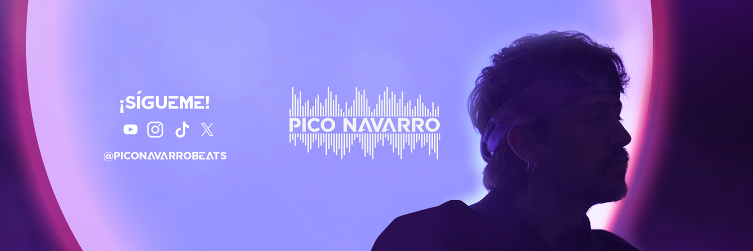 Pico Navarro's banner