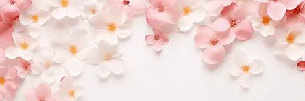 Jaileen's banner