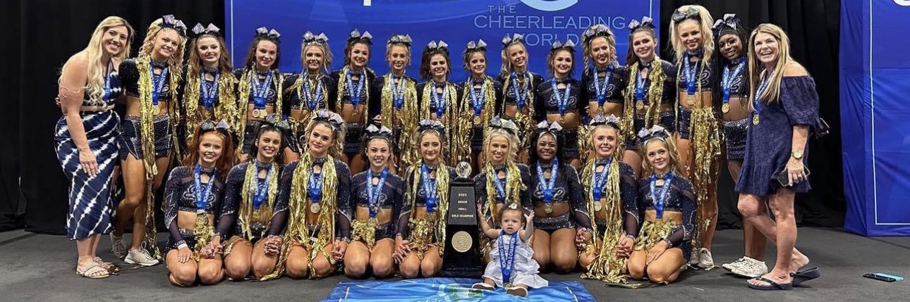 ICE Lady Lightning's banner